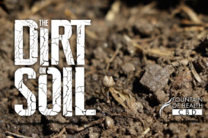 The Dirt on Soil